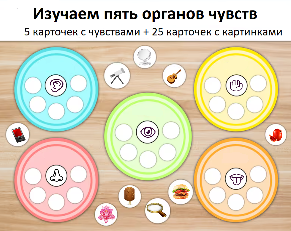 «Сортировка пяти чувств»